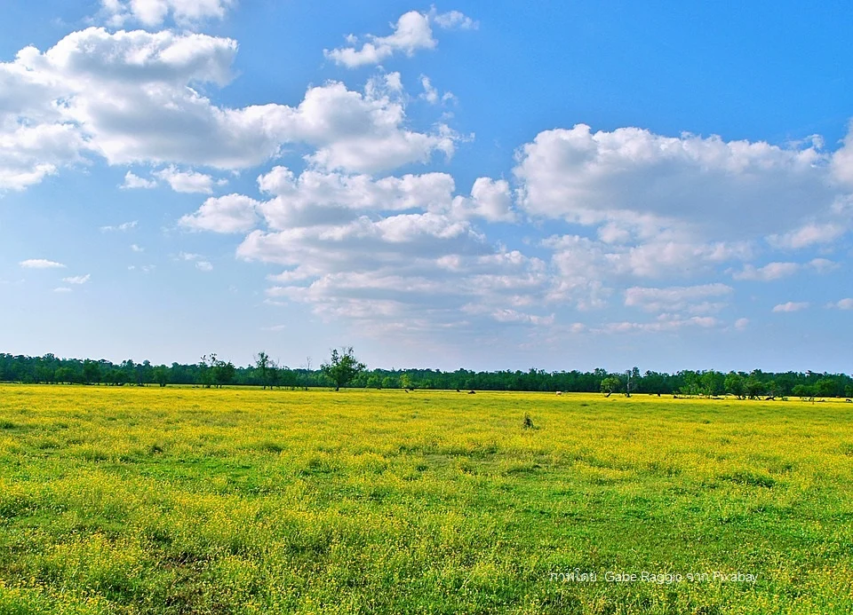 ภาพที่ดินเกษตร1 2