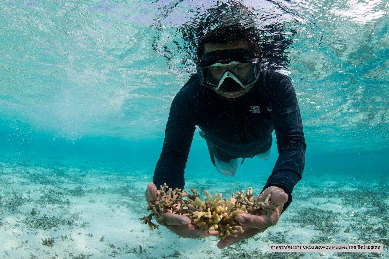S UN Ocean Decade WESTPAC