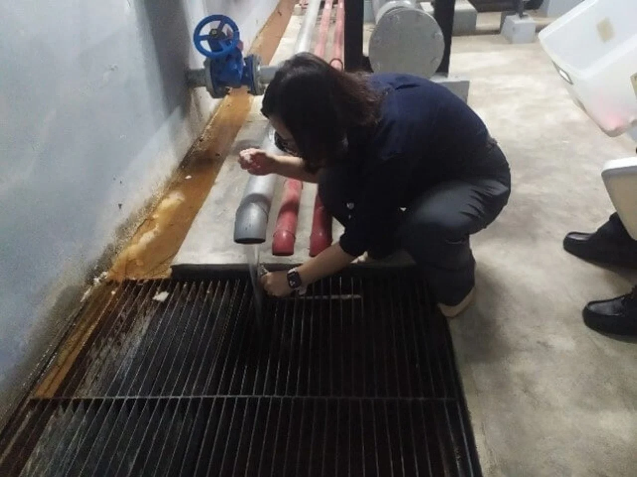 โรคเยื้อบุตาอักเสบในคอนโด