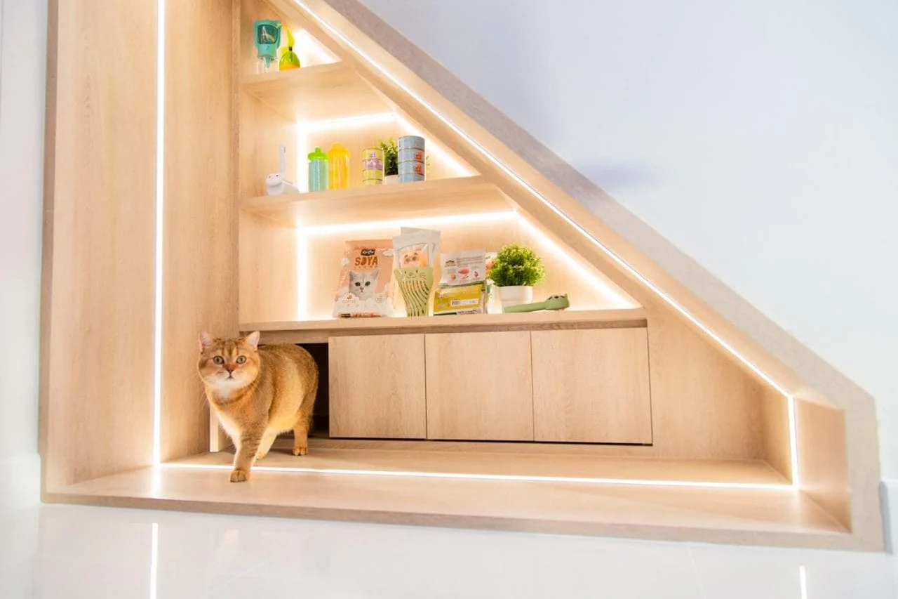 Built for cat's life