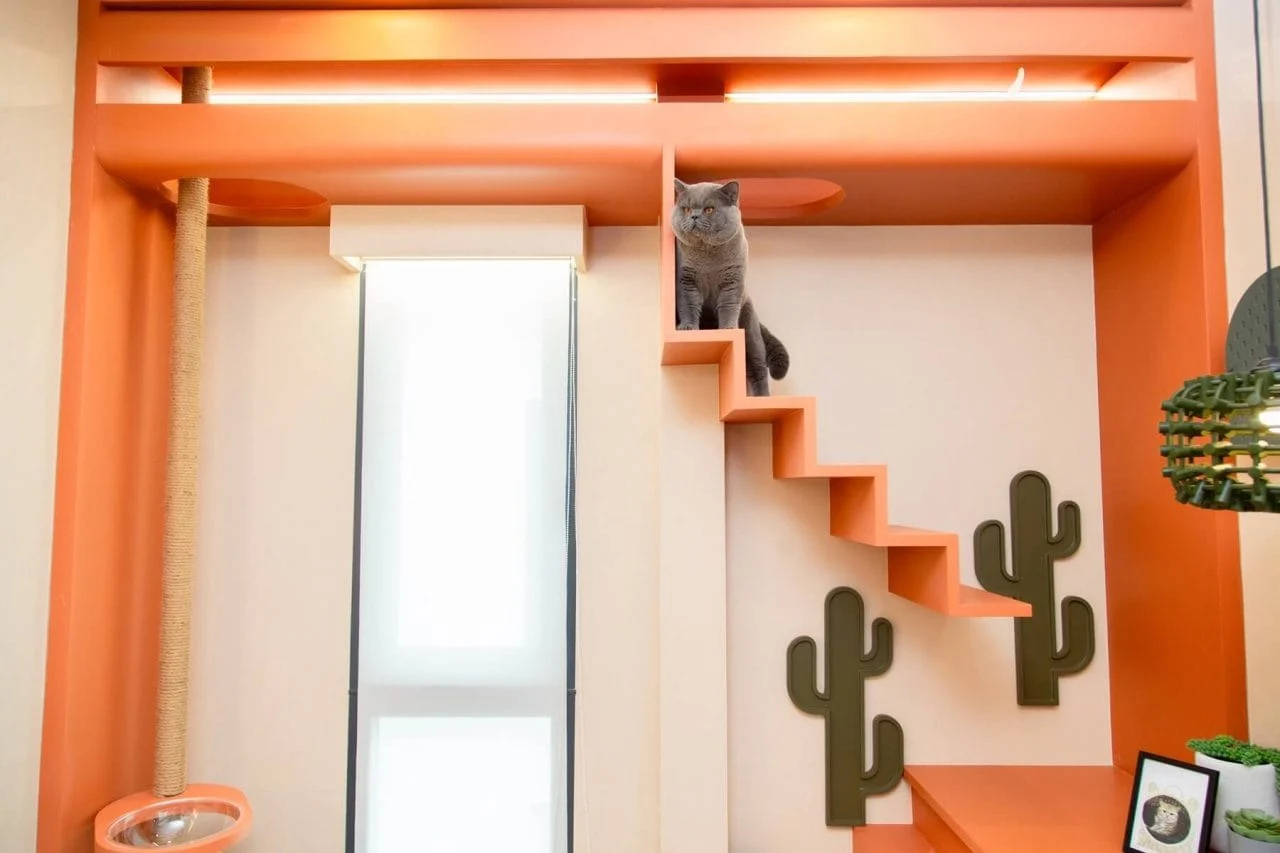 Built for cat's life