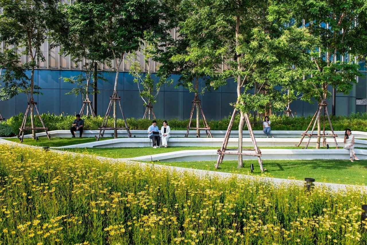Open Green Space