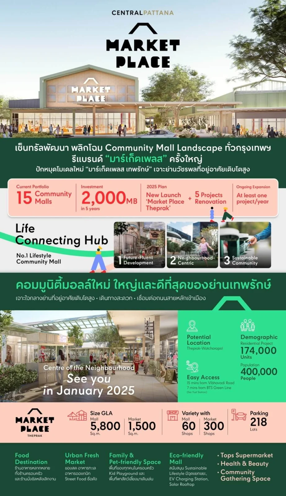 Infographic TH