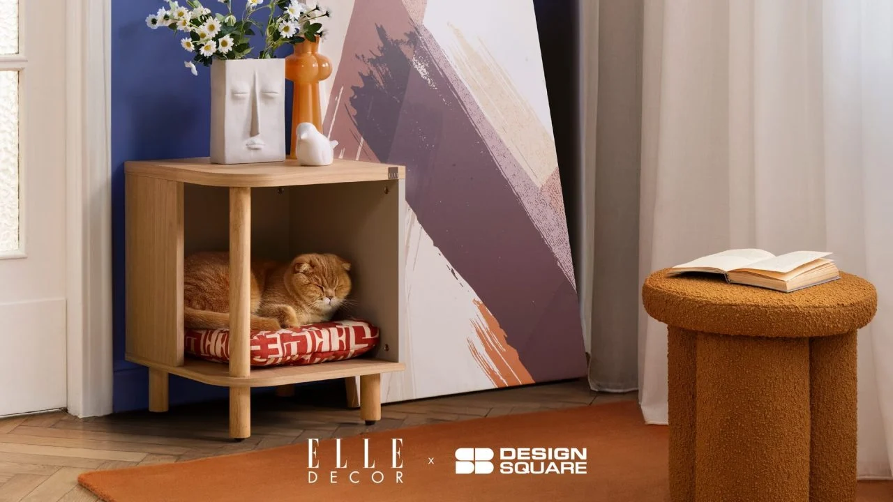 Elle Jolie x re