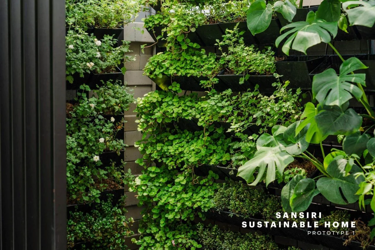 Health & Well being Design Sansiri Edible Verticle Backyard