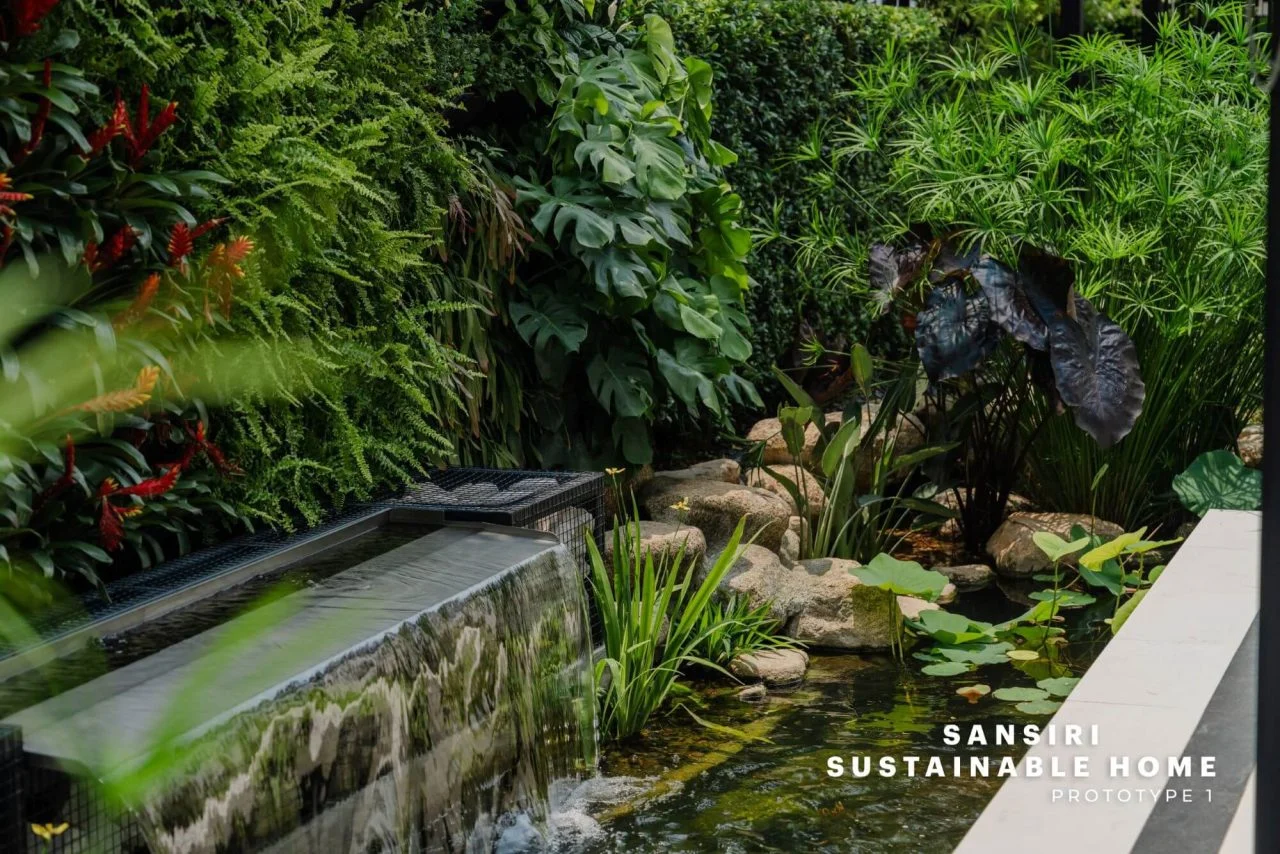 Cooliving Design water feature + พื้นที่สีเขียว