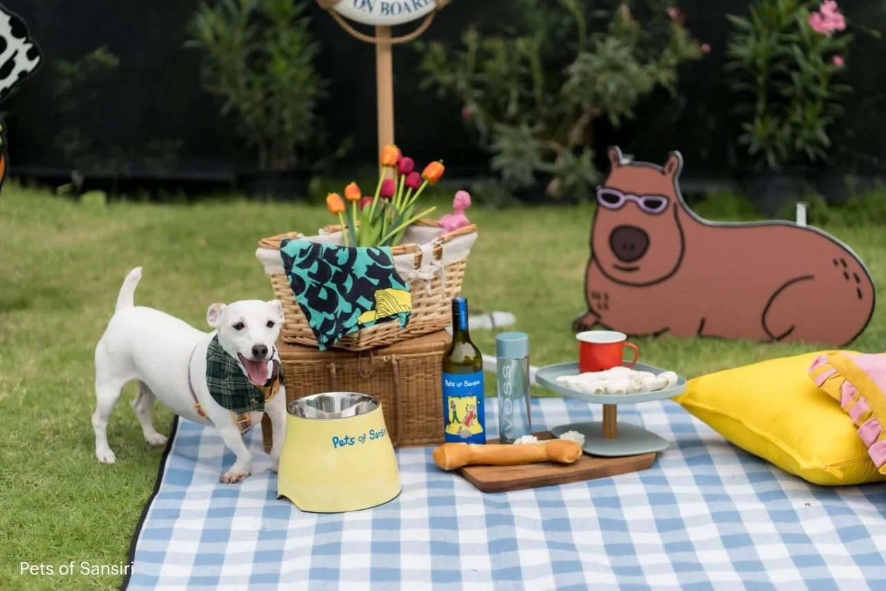 Pets of Sansiri event