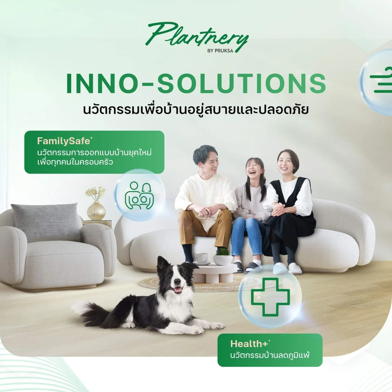 Plantnery inno