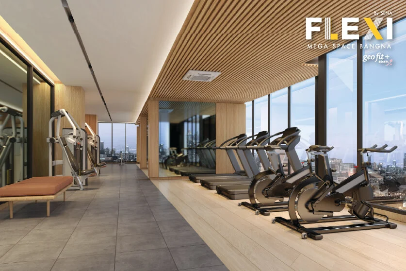 Flexi Mega Space