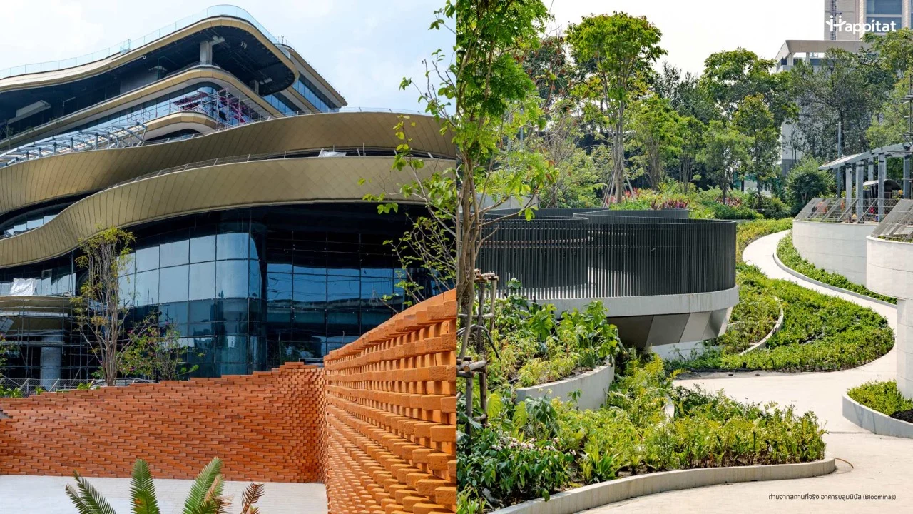 Happitat Progress Update ขนาดใหญ่