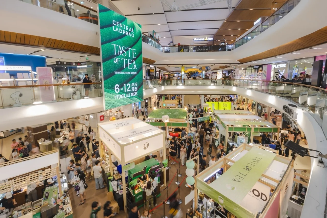 Taste of Tea ขนาดใหญ่